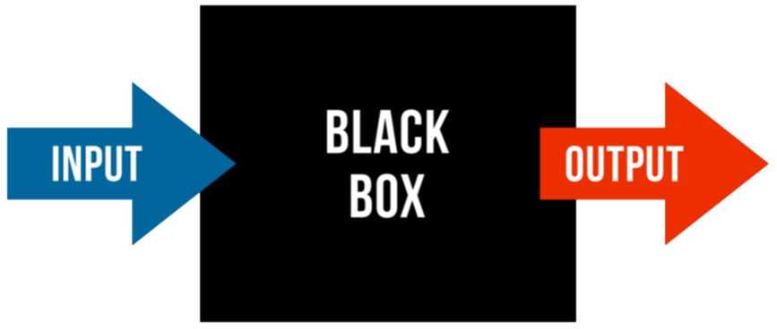 Black-Box Modell